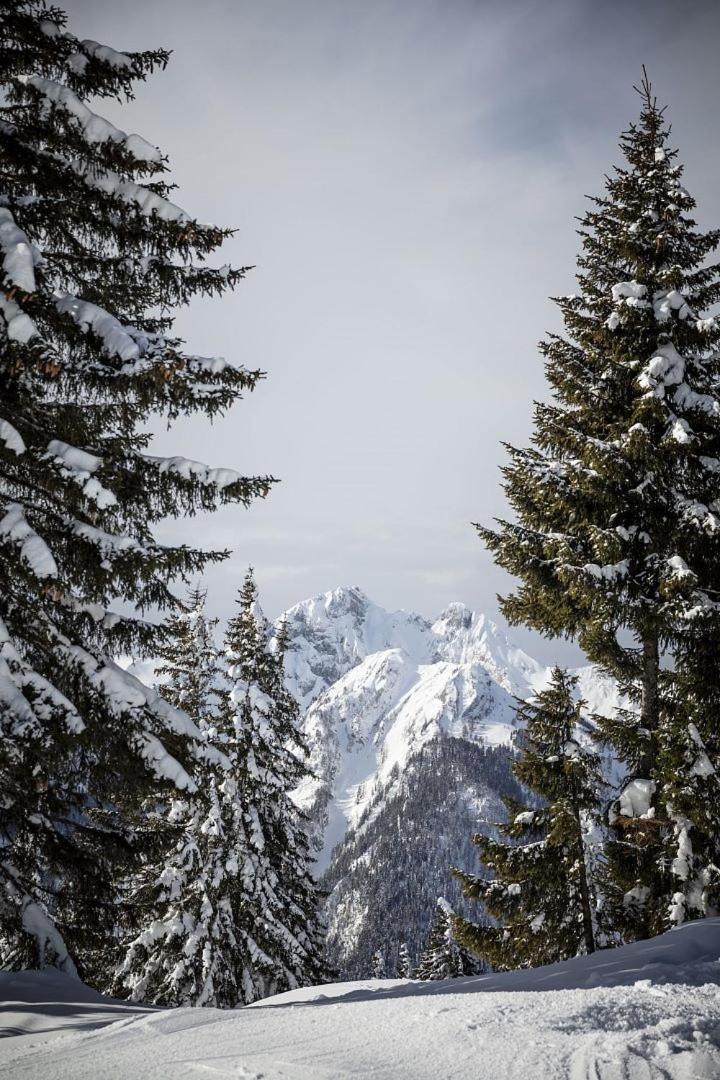 Zederberg Appartements Sankt Johann im Pongau Zewnętrze zdjęcie